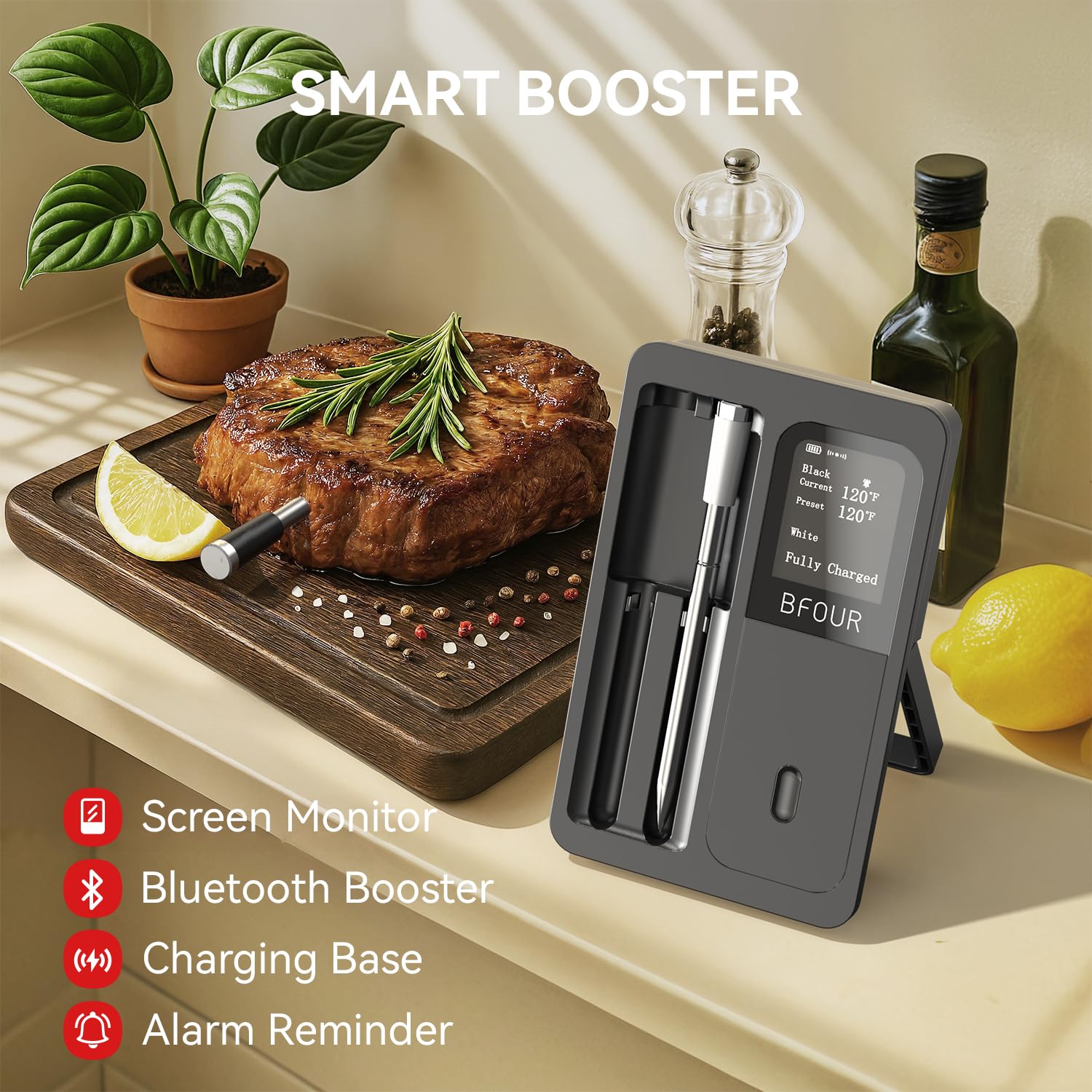 Kitchen Appliances Video - Termometer Daging Nirkabel Probe Tahan Air