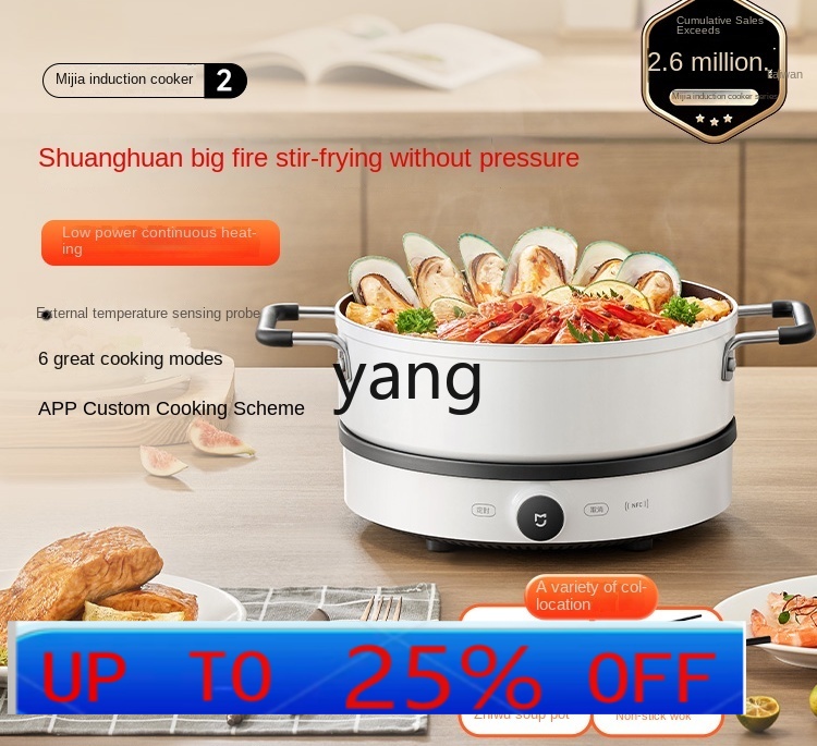 Kompor Induksi LMM Multifungsi - Induction Cooker ulasan dan harga
