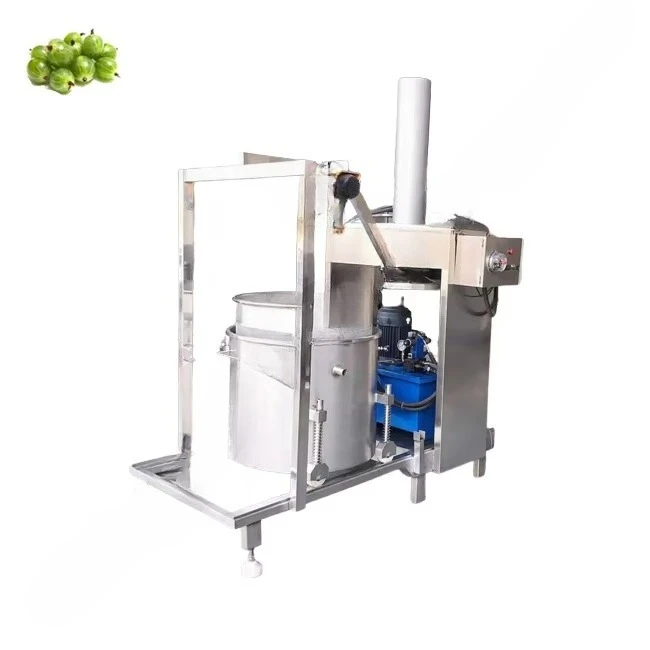 Mesin press anggur hidrolik in - Juicer ulasan dan harga